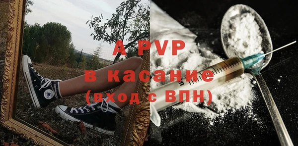 СК Алексин