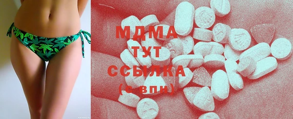 СК Алексин