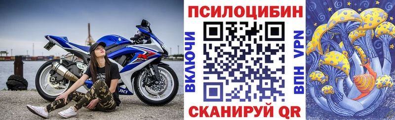 Купить где  Северская  Галлюциногенные грибы мухоморы 